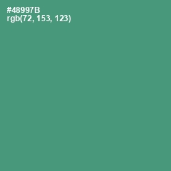 #48997B - Viridian Color Image