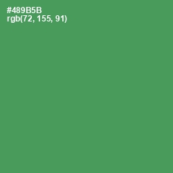 #489B5B - Fruit Salad Color Image