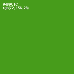 #489C1C - Vida Loca Color Image