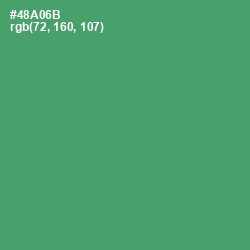 #48A06B - Chateau Green Color Image