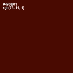 #490B01 - Rustic Red Color Image