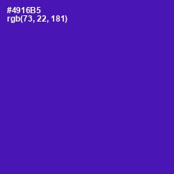 #4916B5 - Daisy Bush Color Image