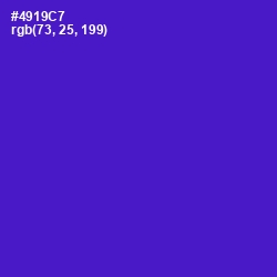 #4919C7 - Purple Heart Color Image