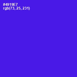 #4919E7 - Purple Heart Color Image