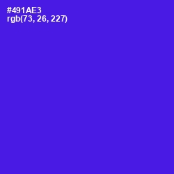 #491AE3 - Purple Heart Color Image