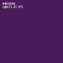 #491B5B - Clairvoyant Color Image