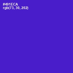 #491ECA - Purple Heart Color Image