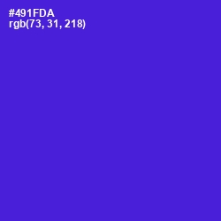 #491FDA - Purple Heart Color Image