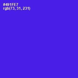 #491FE7 - Purple Heart Color Image