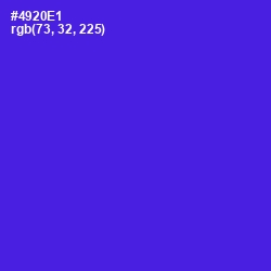 #4920E1 - Purple Heart Color Image