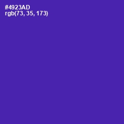 #4923AD - Daisy Bush Color Image