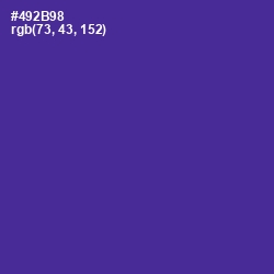 #492B98 - Daisy Bush Color Image