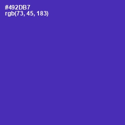 #492DB7 - Daisy Bush Color Image