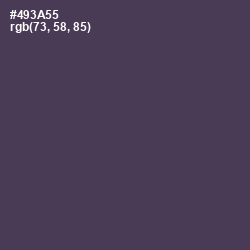 #493A55 - Voodoo Color Image