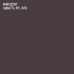 #493D3F - Armadillo Color Image