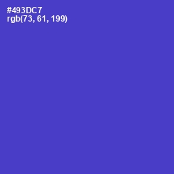#493DC7 - Purple Heart Color Image
