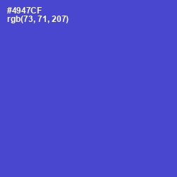 #4947CF - Indigo Color Image