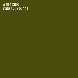 #494C0B - Bronze Olive Color Image