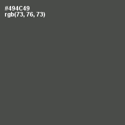 #494C49 - Gravel Color Image