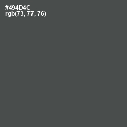 #494D4C - Gravel Color Image