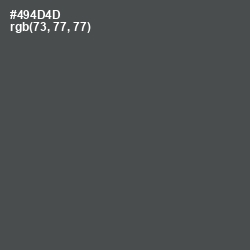 #494D4D - Gravel Color Image