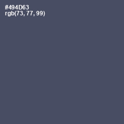 #494D63 - Mulled Wine Color Image