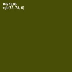 #494E06 - Bronze Olive Color Image