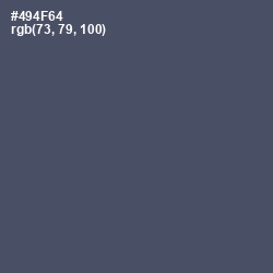 #494F64 - Mulled Wine Color Image