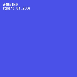 #4951E9 - Royal Blue Color Image