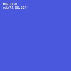 #4958DD - Royal Blue Color Image