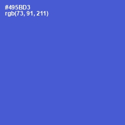 #495BD3 - Indigo Color Image