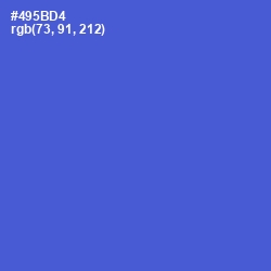 #495BD4 - Indigo Color Image