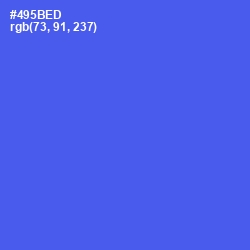 #495BED - Royal Blue Color Image