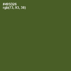 #495D26 - Woodland Color Image
