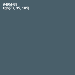 #495F69 - Fiord Color Image