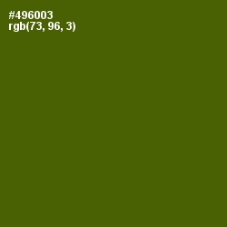 #496003 - Green Leaf Color Image
