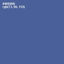 #49609B - Kashmir Blue Color Image