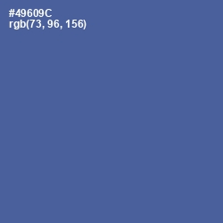 #49609C - Kashmir Blue Color Image