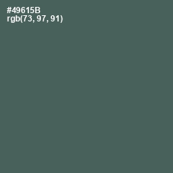 #49615B - Finlandia Color Image