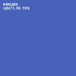 #4962B9 - San Marino Color Image