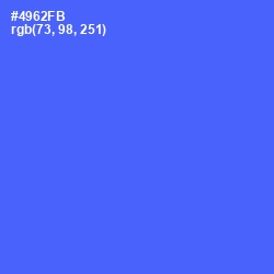 #4962FB - Royal Blue Color Image