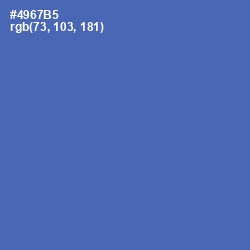 #4967B5 - San Marino Color Image