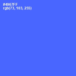 #4967FF - Royal Blue Color Image