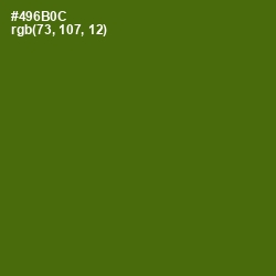 #496B0C - Green Leaf Color Image