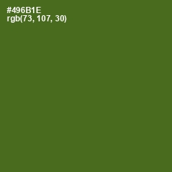 #496B1E - Green Leaf Color Image
