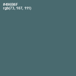 #496B6F - Blue Bayoux Color Image