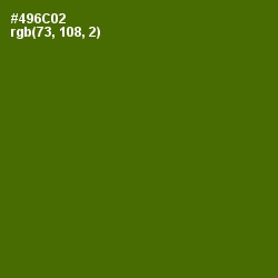 #496C02 - Green Leaf Color Image