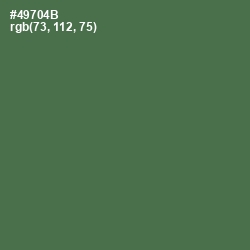 #49704B - Fern Green Color Image