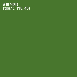 #49762D - Chalet Green Color Image