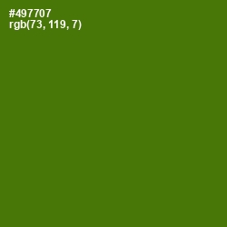 #497707 - Green Leaf Color Image